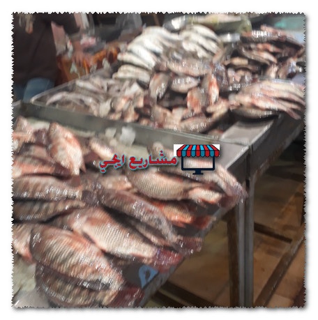 ارباح مشروع بيع الاسماك