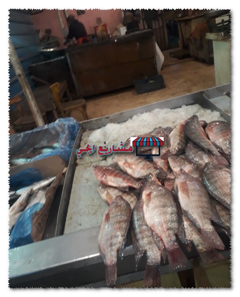 دراسة جدوى مشروع محل سمك