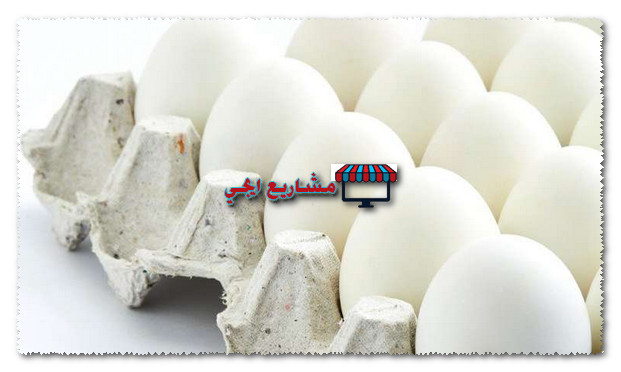 مشروع تجارة البيض