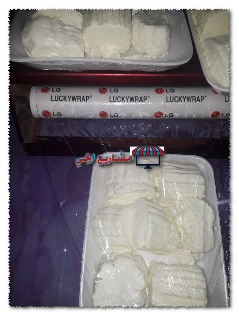 مشروع فلاحي صغير