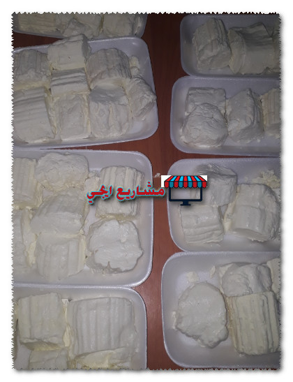 مشروع توزيع منتجات الالبان