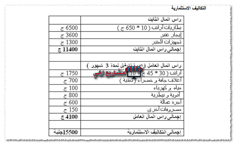 تكلفة مشروع تربية الارانب