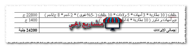 افضل سلالات الارانب
