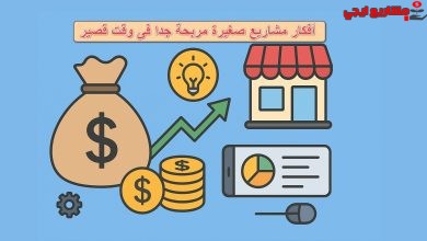 أفكار مشاريع صغيرة مربحة جدا فى وقت قصير