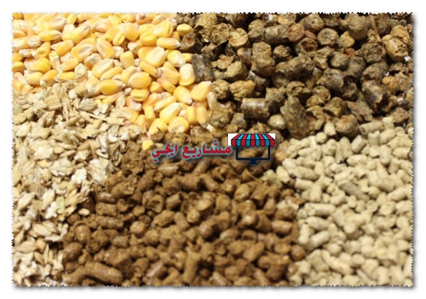 دراسة جدوى مشروع محل اعلاف