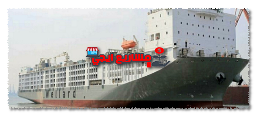 كيفية شراء بضائع من تركيا