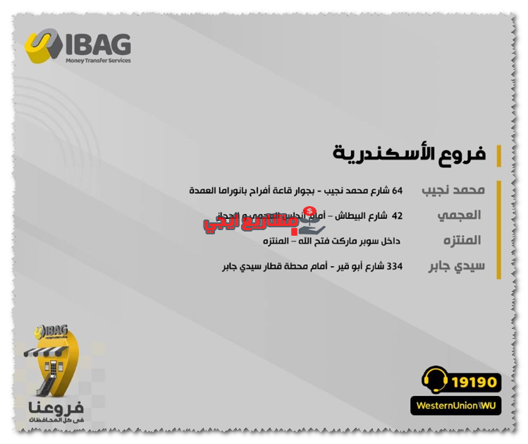 فروع ويسترن يونيون الاسكندرية