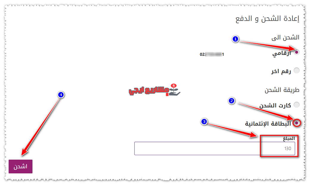 دفع فاتورة النت we بالفيزا