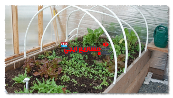أنواع الصوب الزراعية
