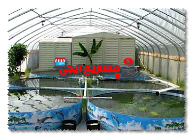 المعدات اللازمة للمشروع وتكلفته