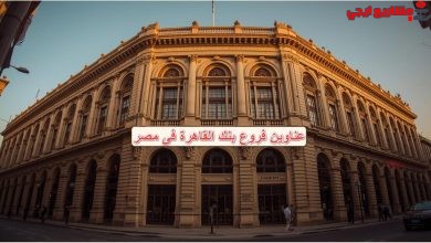 دليل عناوين فروع بنك القاهرة فى مصر