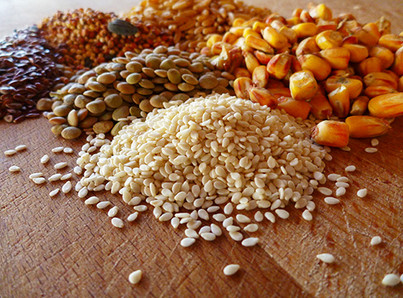 مشروع تجارة اعلاف الحيوانات والطيور