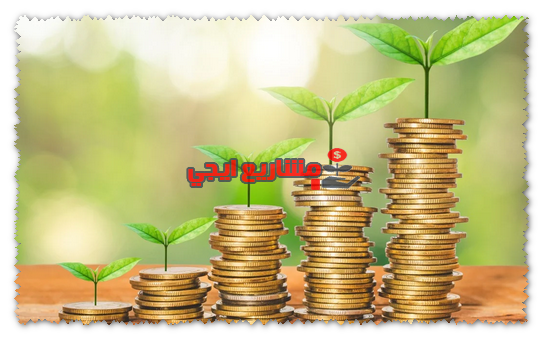 مشروع مربح براس مال 100 الف جنيه 2022