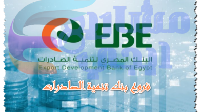 فروع بنك تنمية الصادرات