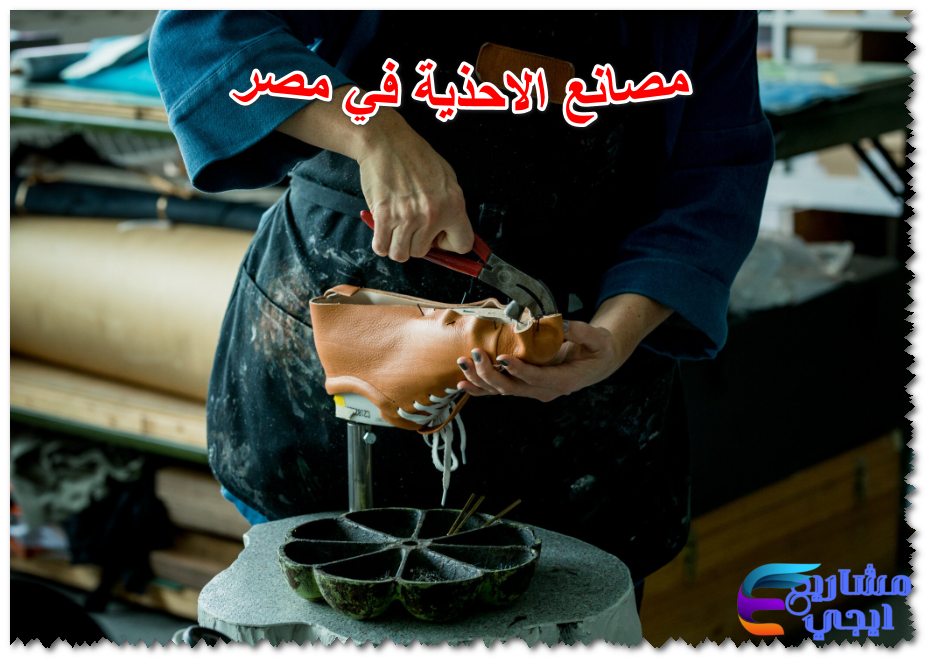مصانع الاحذية في مصر