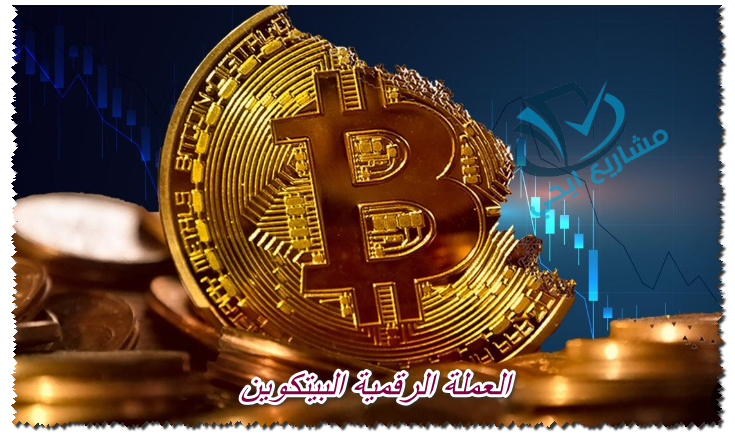 العملة الرقمية البيتكوين