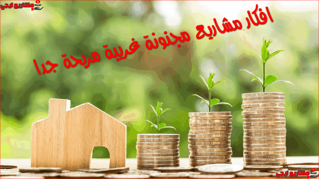 أفكار مشاريع مجنونة
