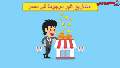 افكار مشاريع نادرة مش موجودة في مصر
