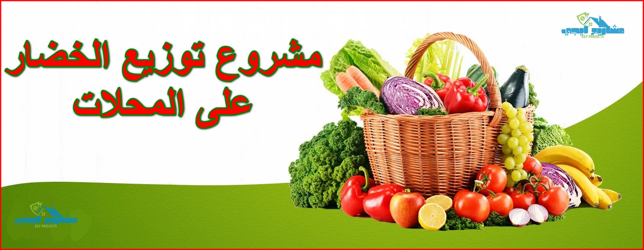مشروع توزيع الخضار على المحلات