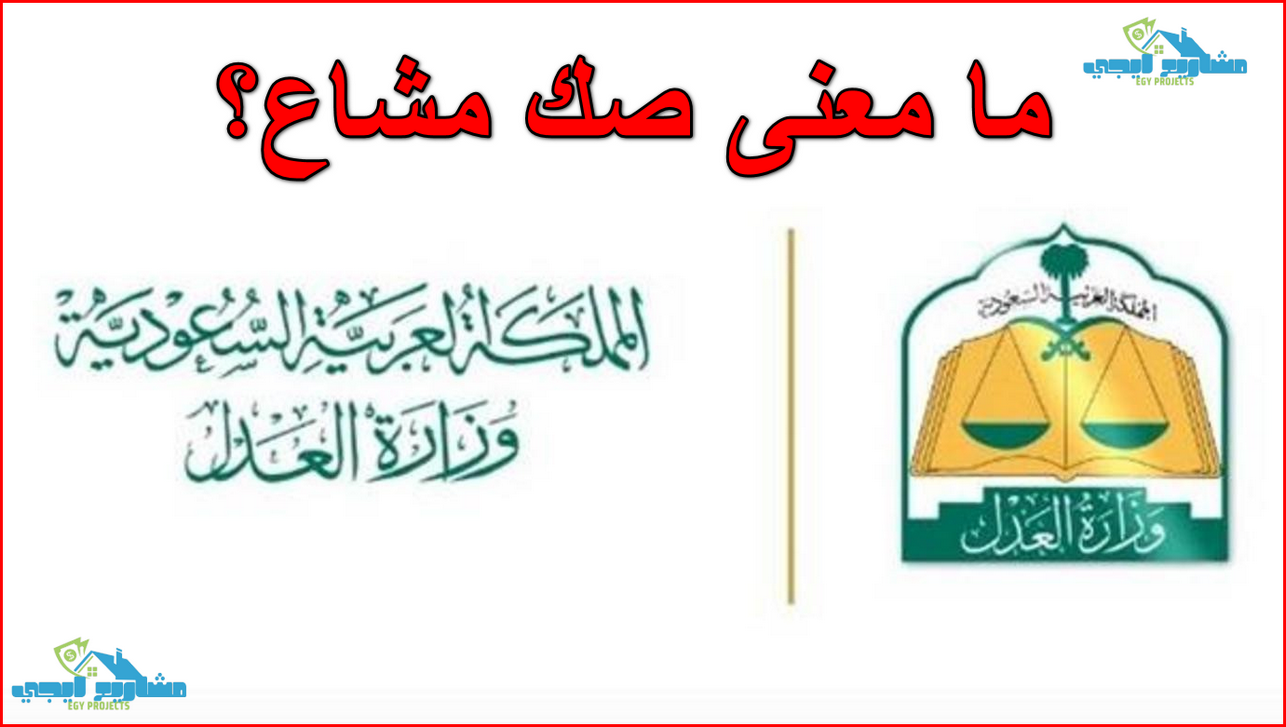 ما معنى صك مشاع؟