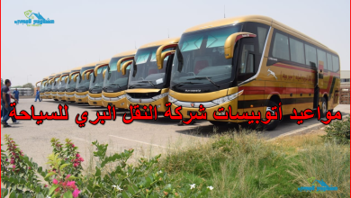 مواعيد أتوبيسات شركة النقل البري للسياحة