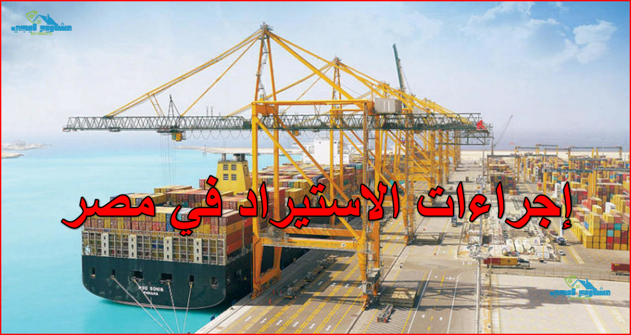 إجراءات الاستيراد في مصر