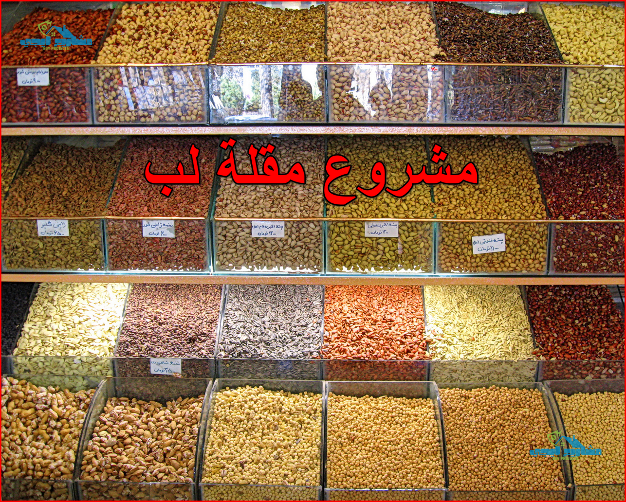 مشروع مقلة لب