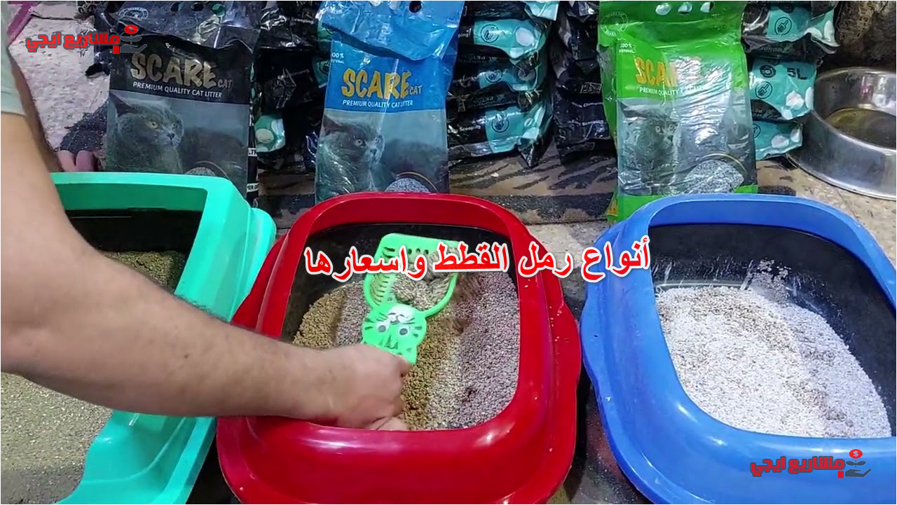 أنواع رمل القطط واسعارها