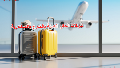 شركات الحاق العمالة بالخارج بالاسكندرية