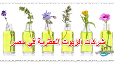شركات الزيوت العطرية في مصر