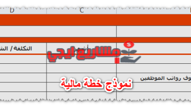 نموذج خطة مالية