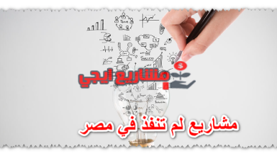 مشاريع لم تنفذ في مصر