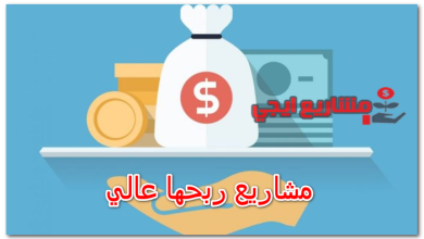 مشاريع ربحها عالي