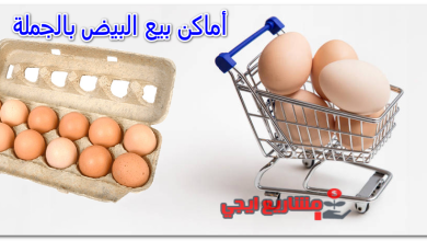 أماكن بيع البيض بالجملة