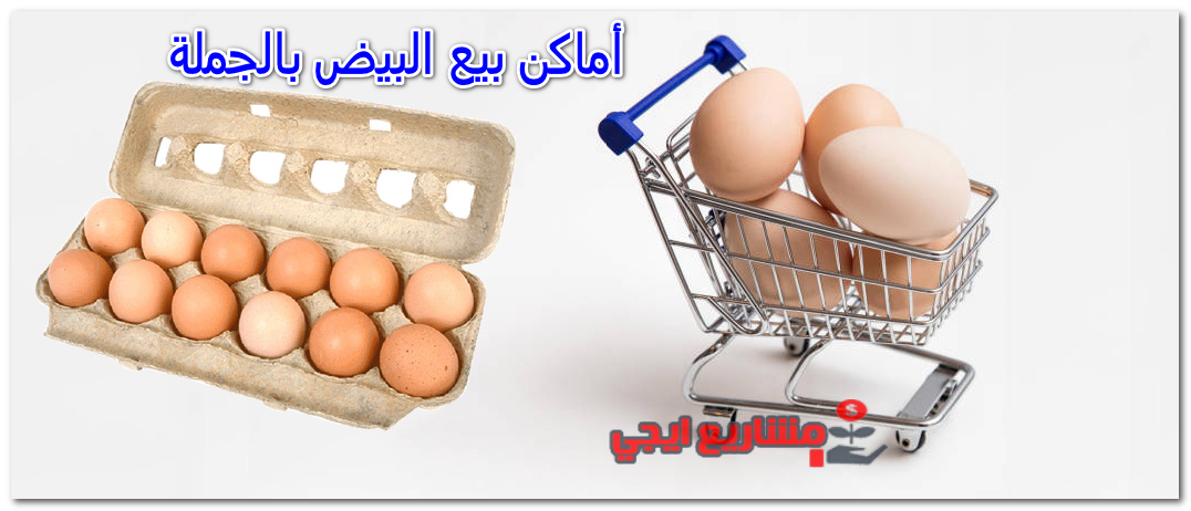 أماكن بيع البيض بالجملة