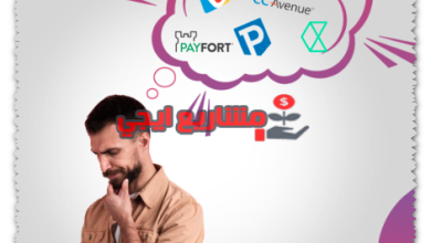 شركات الدفع الإلكتروني في الإمارات