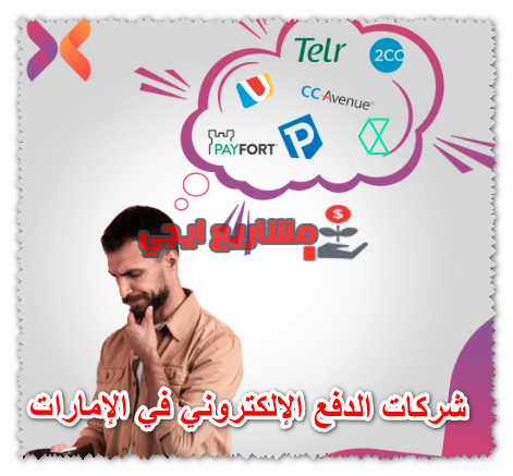 شركات الدفع الإلكتروني في الإمارات