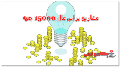 مشاريع براس مال 15000 جنيه