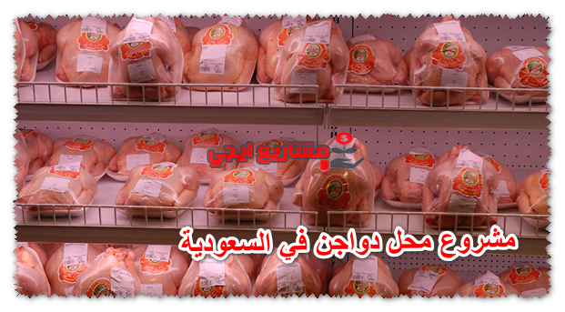 مشروع محل دواجن في السعودية