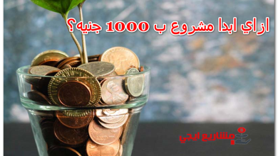 ازاي ابدا مشروع ب 1000 جنيه؟