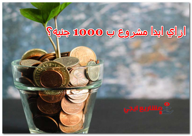 ازاي ابدا مشروع ب 1000 جنيه؟