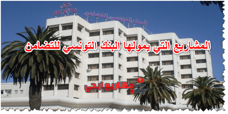 المشاريع التي يمولها البنك التونسي للتضامن