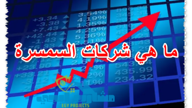 ما هي شركات السمسرة