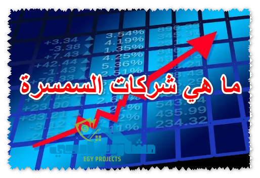 ما هي شركات السمسرة