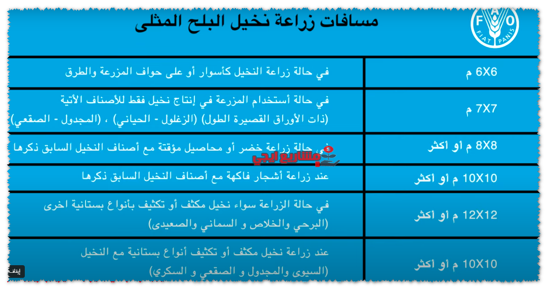 مسافة زراعة النخيل
