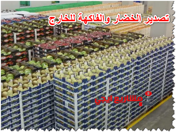 تصدير الخضار والفاكهة للخارج
