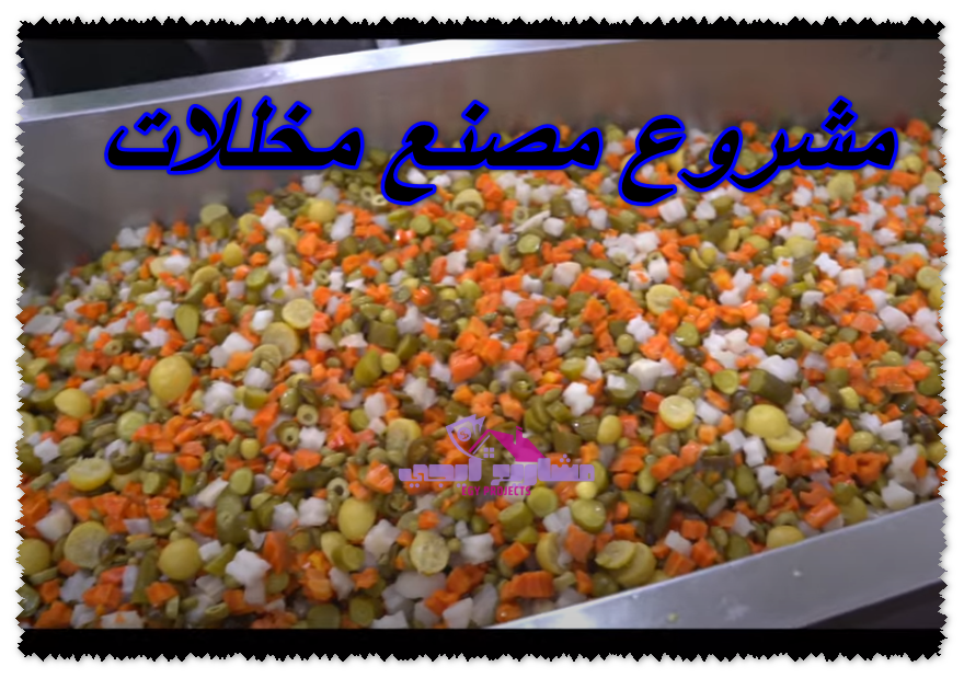 مشروع مصنع مخللات