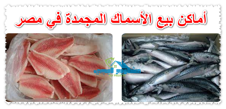 أماكن بيع الأسماك المجمدة في مصر