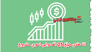 انا عندي مبلغ 25 الف وابي اسوي مشروع