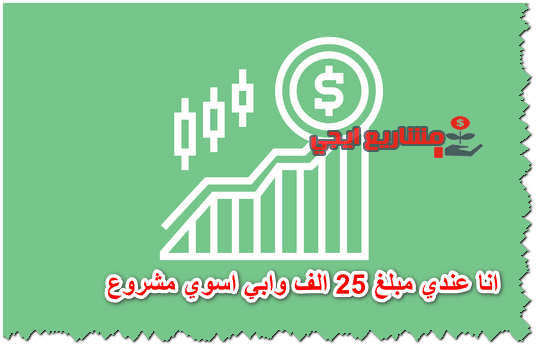 انا عندي مبلغ 25 الف وابي اسوي مشروع